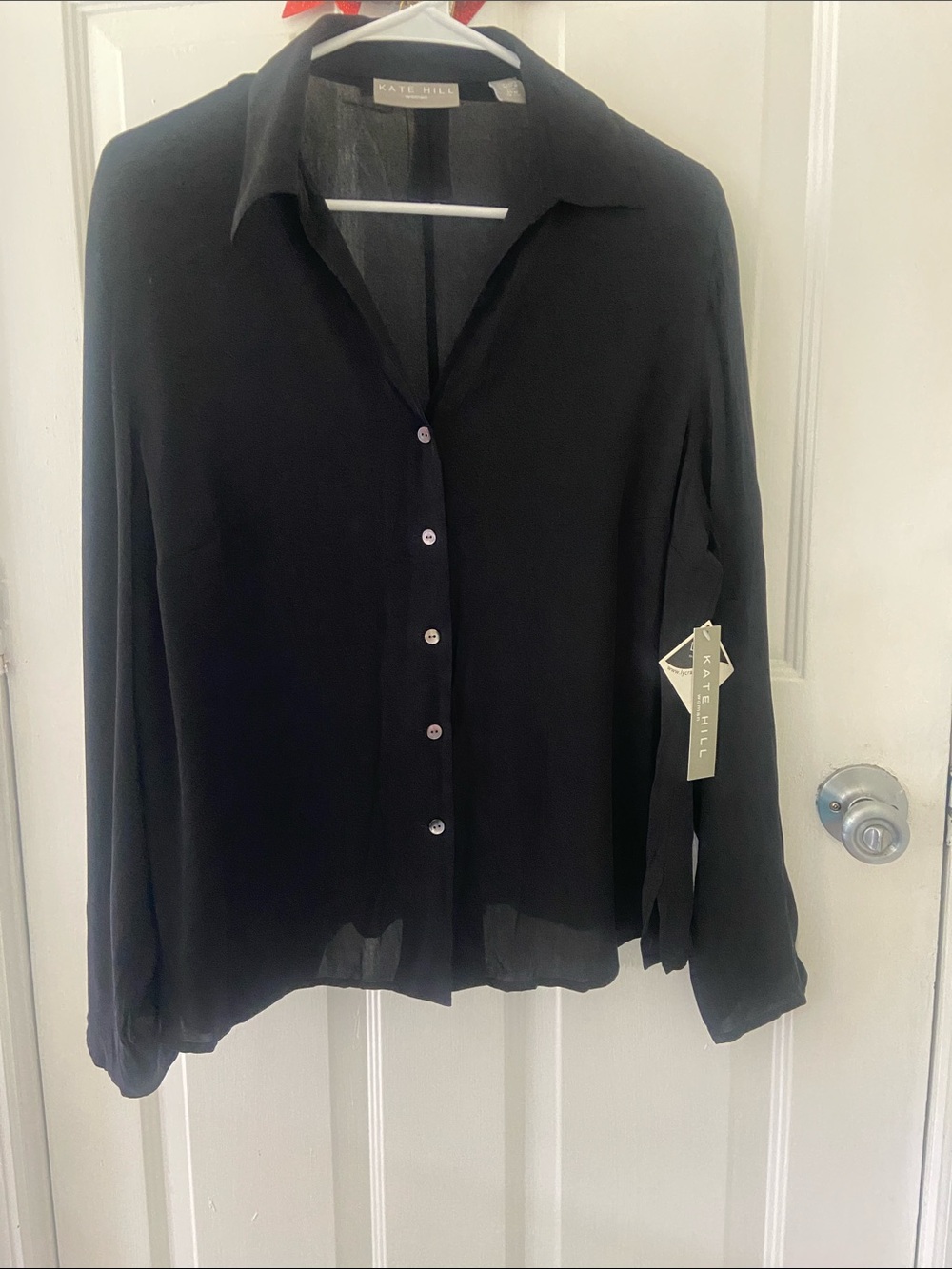 Kate Hill Black Sheer Button-Down Blouse